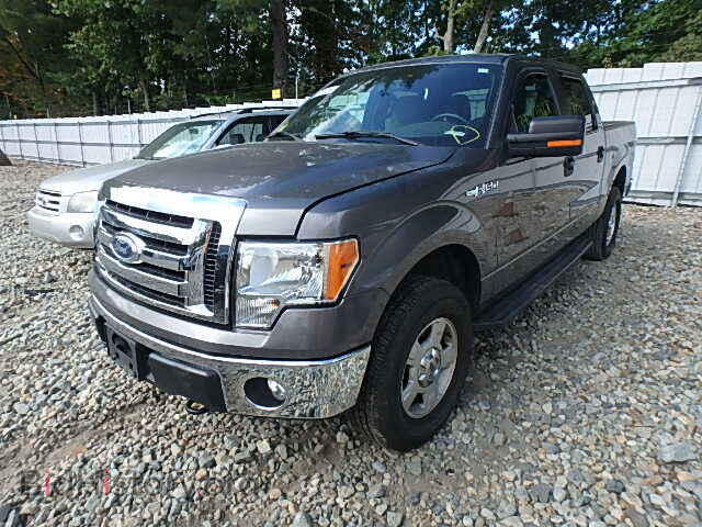 2012 FORD F150 - VIN: 1FTFW1EFXCFB75370 - Фото 2
