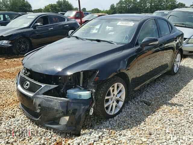 2011 LEXUS IS250 - VIN: JTHCF5C23B5052071 - Фото 2