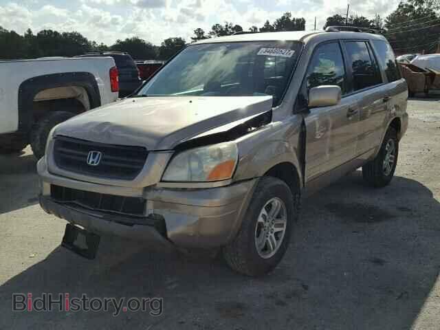 2005 HONDA PILOT - VIN: 5FNYF18435B065223 - Фото 2