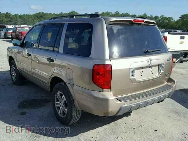 2005 HONDA PILOT - VIN: 5FNYF18435B065223 - Фото 3
