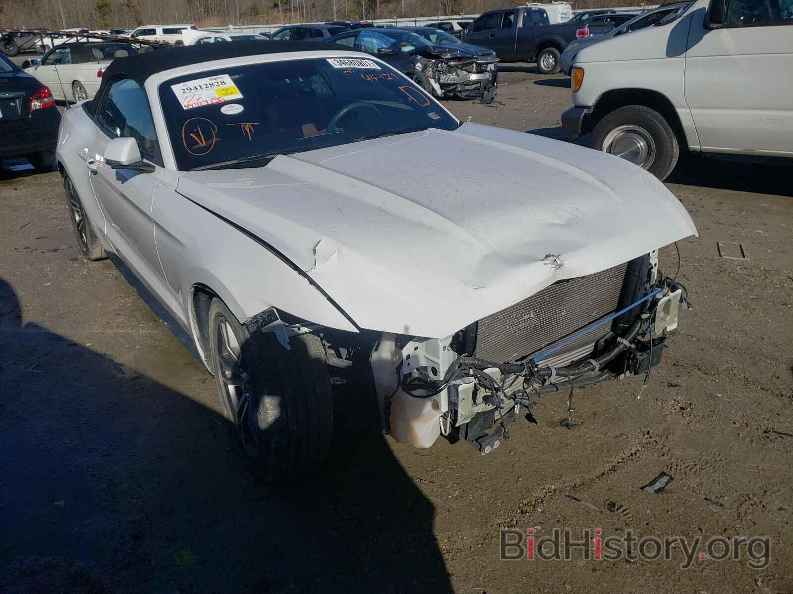 Photo 1FATP8UH1H5236894 - FORD MUSTANG 2017