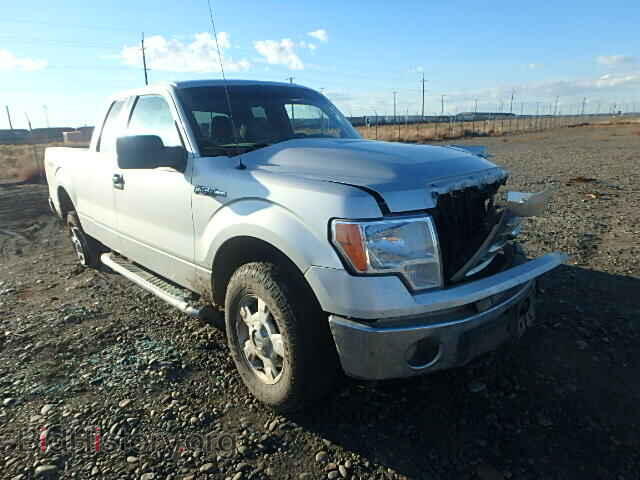 Фотография 1FTFX1EF3DFB31273 - FORD F150 2013