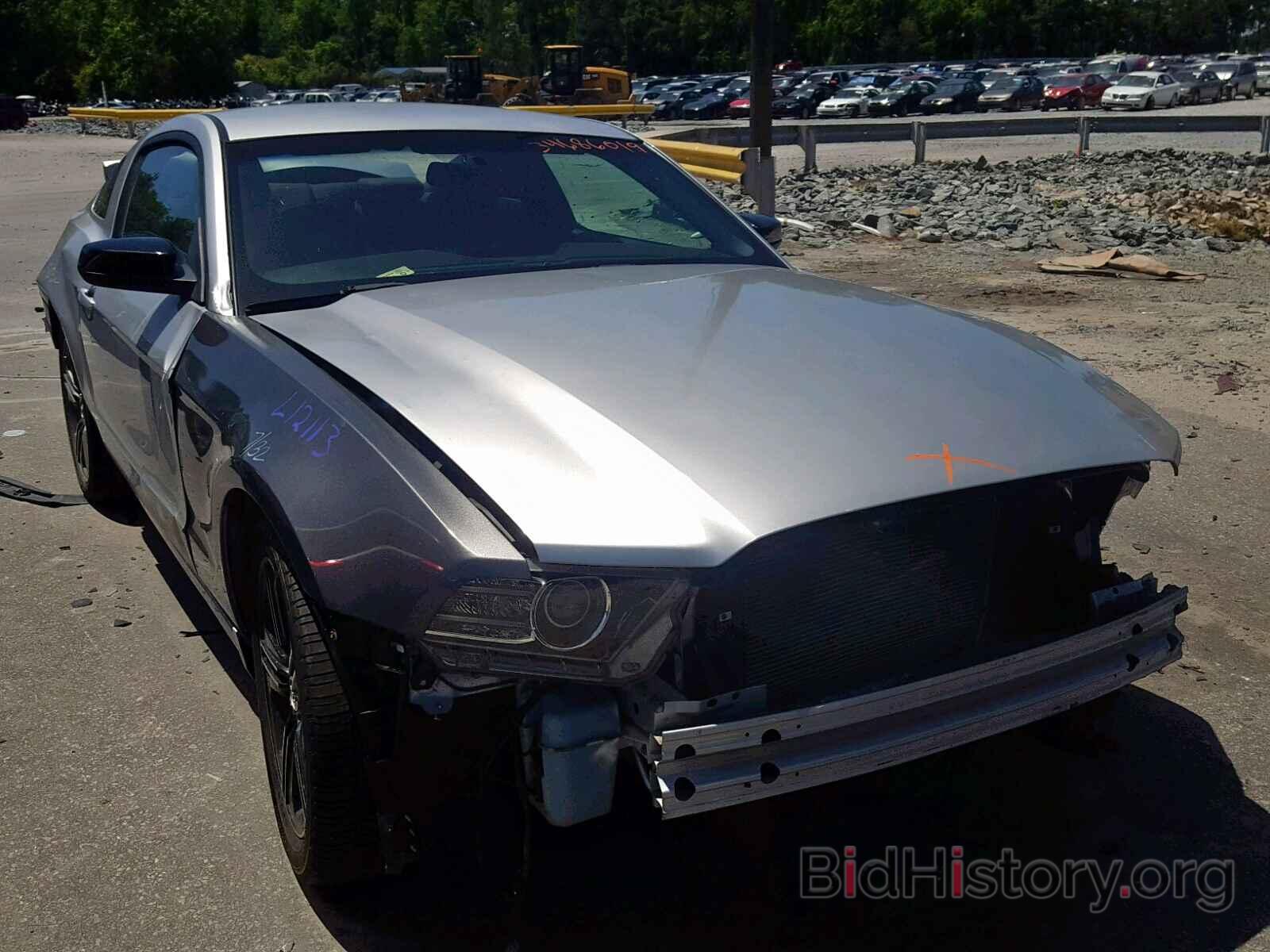 Photo 1ZVBP8AM7D5270529 - FORD MUSTANG 2013
