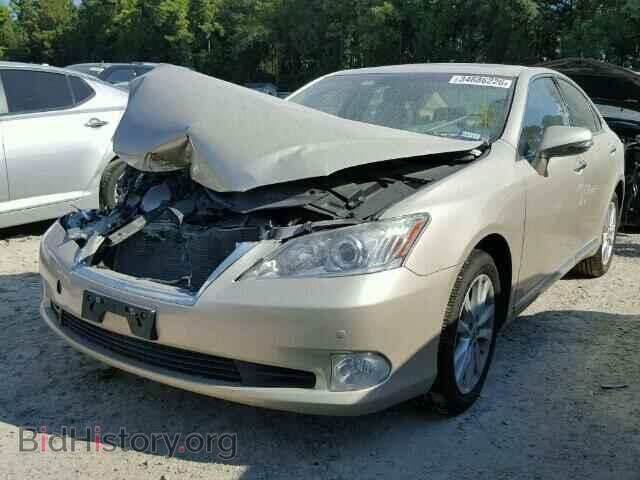 2010 LEXUS ES350 - VIN: JTHBK1EG6A2382456 - Фото 2