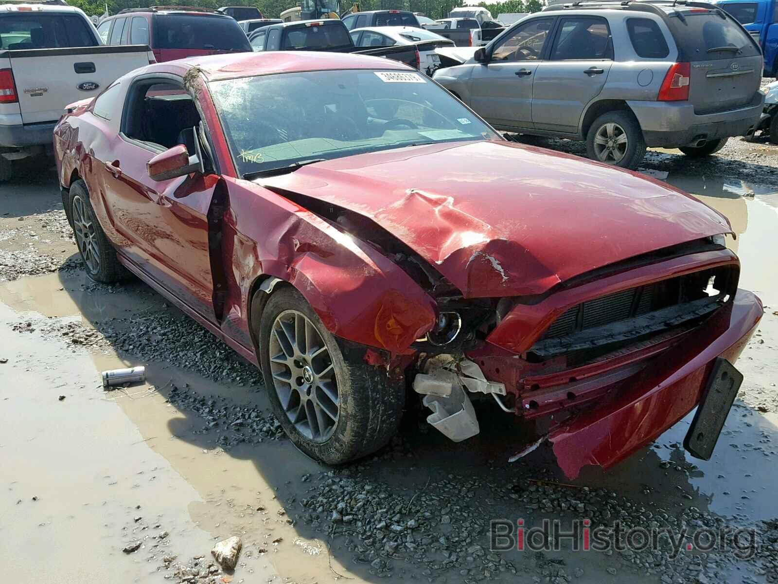 Photo 1ZVBP8AM5E5299030 - FORD MUSTANG 2014