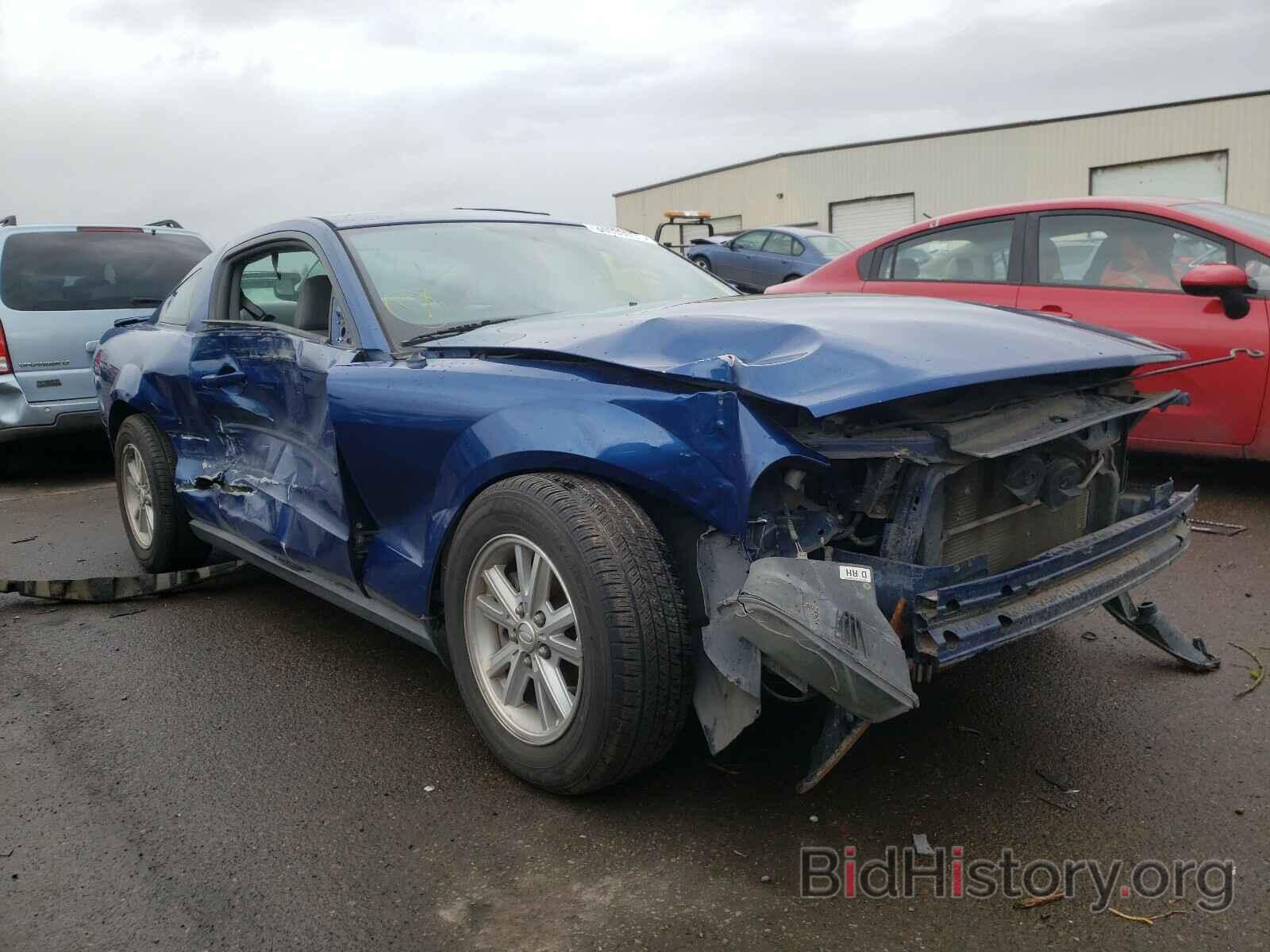 Photo 1ZVHT80N485179014 - FORD MUSTANG 2008