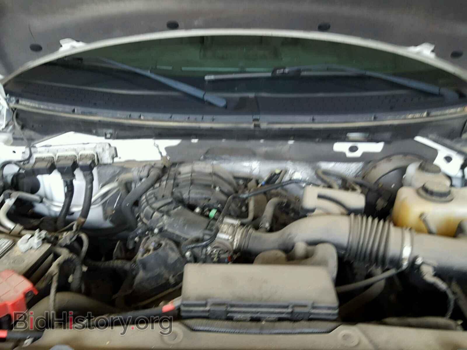 2013 FORD F150 - VIN: 1FTMF1CM6DFD23833 - Фото 7