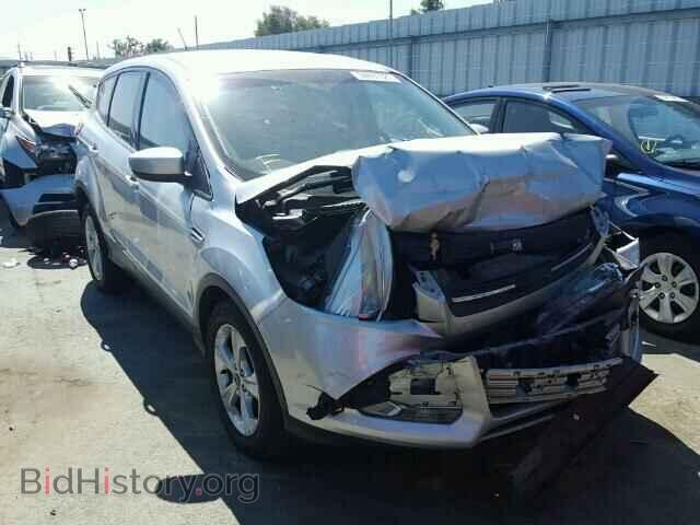 Photo 1FMCU0GX3DUA60658 - FORD ESCAPE 2013