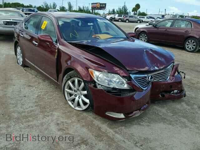 Фотография JTHBL46F375041785 - LEXUS LS460 2007