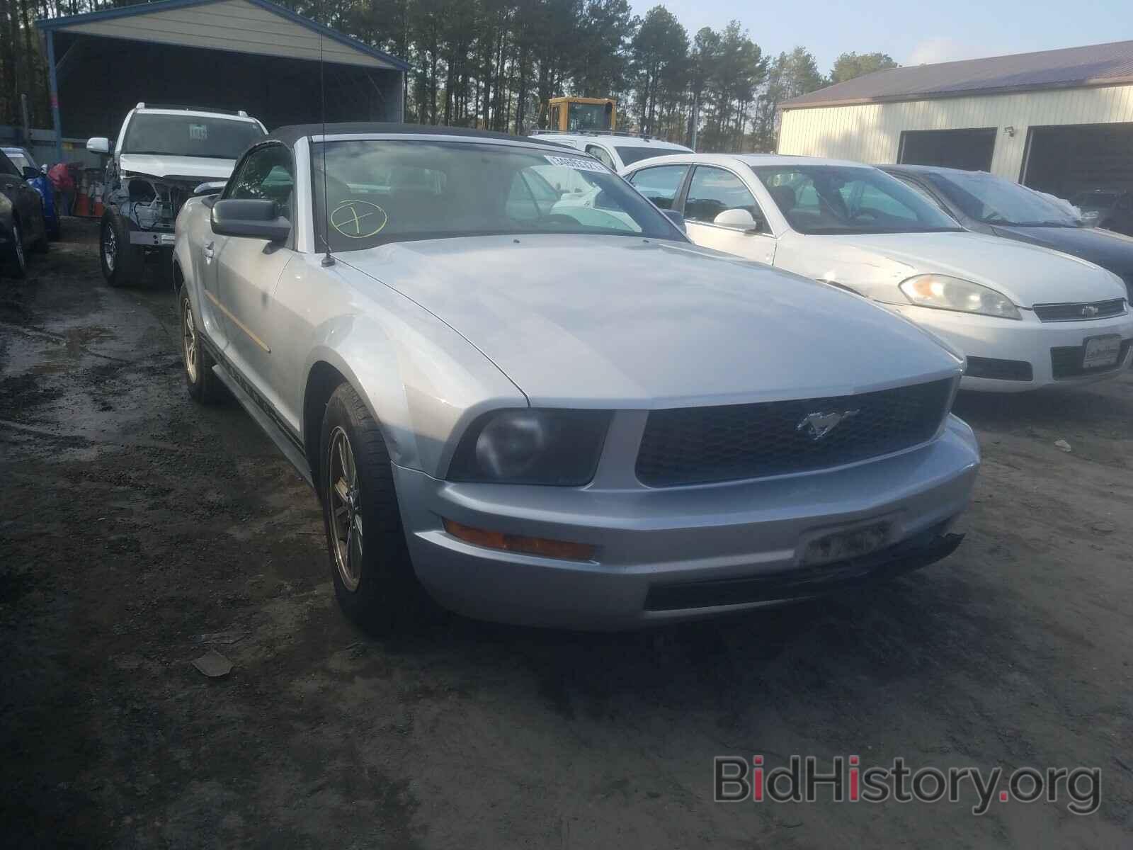 Photo 1ZVFT84N565234990 - FORD MUSTANG 2006