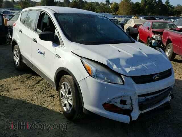 Photo 1FMCU0F72DUC36262 - FORD ESCAPE 2013
