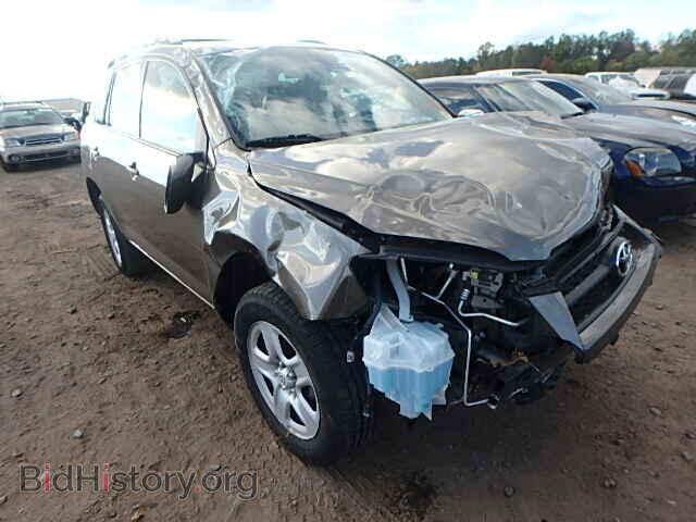 Фотография 2T3BF4DV4CW257599 - TOYOTA RAV4 2012