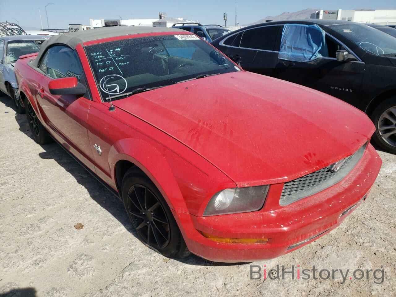 Photo 1ZVHT84N095105181 - FORD MUSTANG 2009