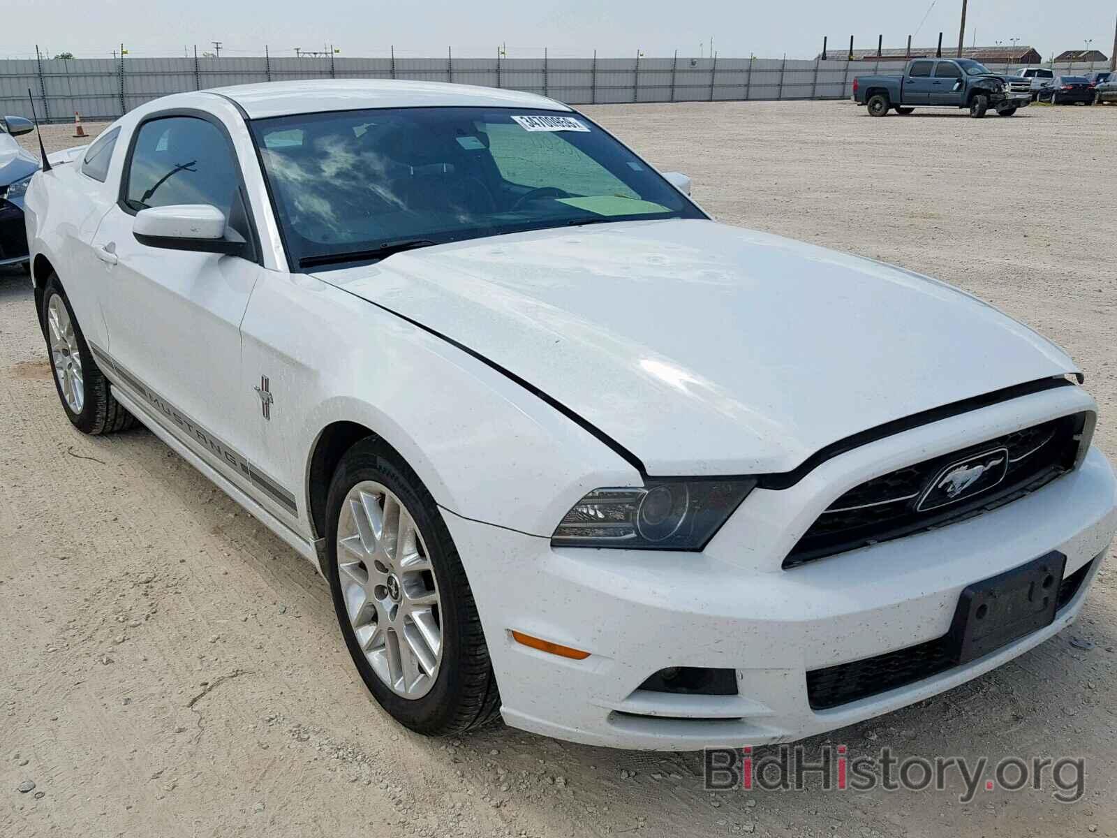 Photo 1ZVBP8AM9E5268573 - FORD MUSTANG 2014