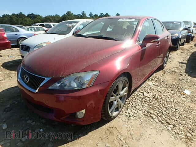 2009 LEXUS IS250 - VIN: JTHBK262692091962 - Фото 2
