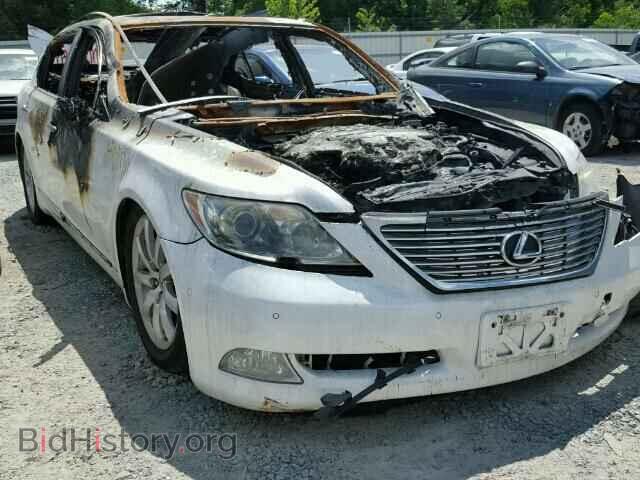 Фотография JTHGL46FX75013472 - LEXUS LS460 2007