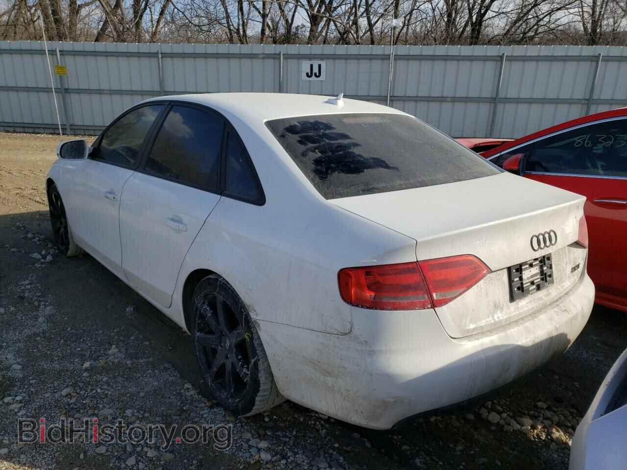 2011 AUDI A4 - VIN: WAUAFAFL3BN050453 - Фото 3