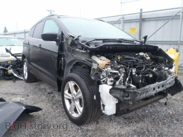 Фотография 1FMCU0GX0DUD00068 - FORD ESCAPE 2013
