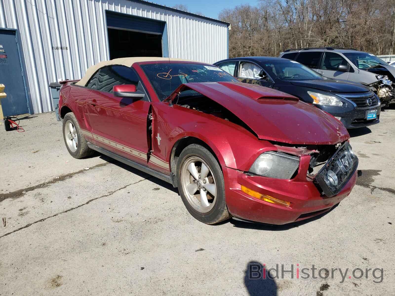 Photo 1ZVFT84N775204617 - FORD MUSTANG 2007