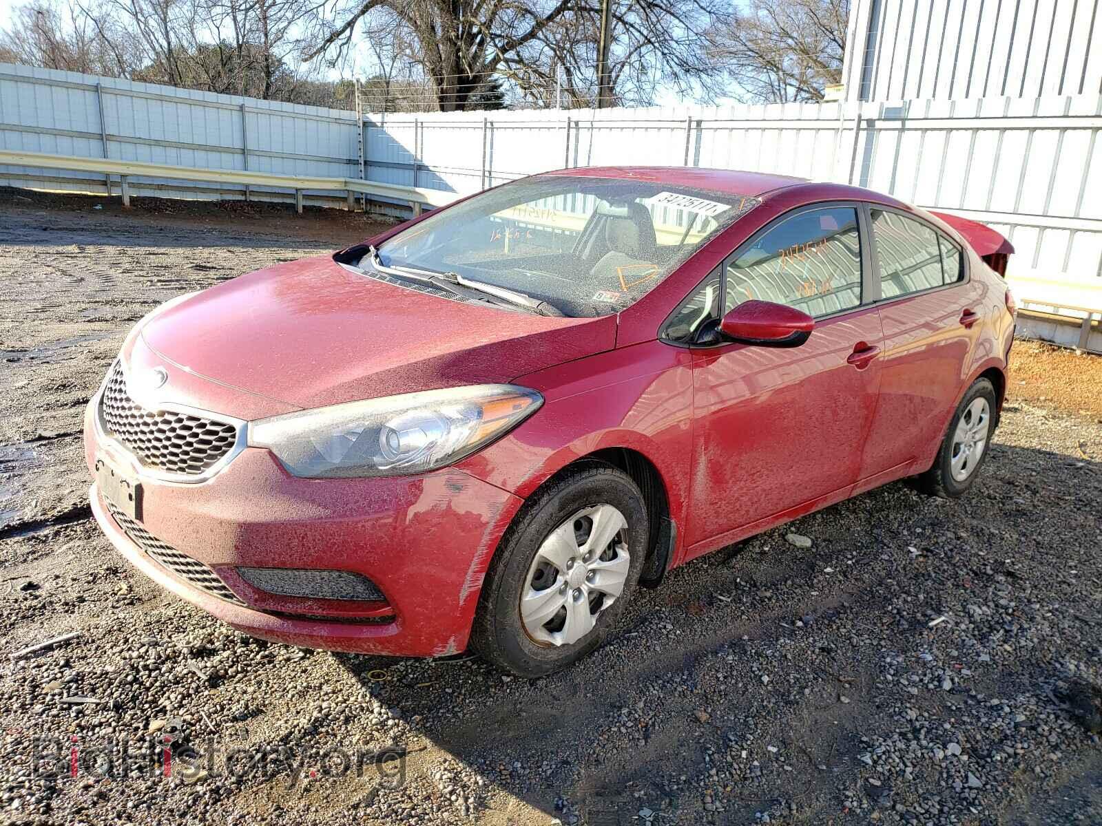 2014 KIA FORTE - VIN: KNAFK4A68E5072084 - Фото 2