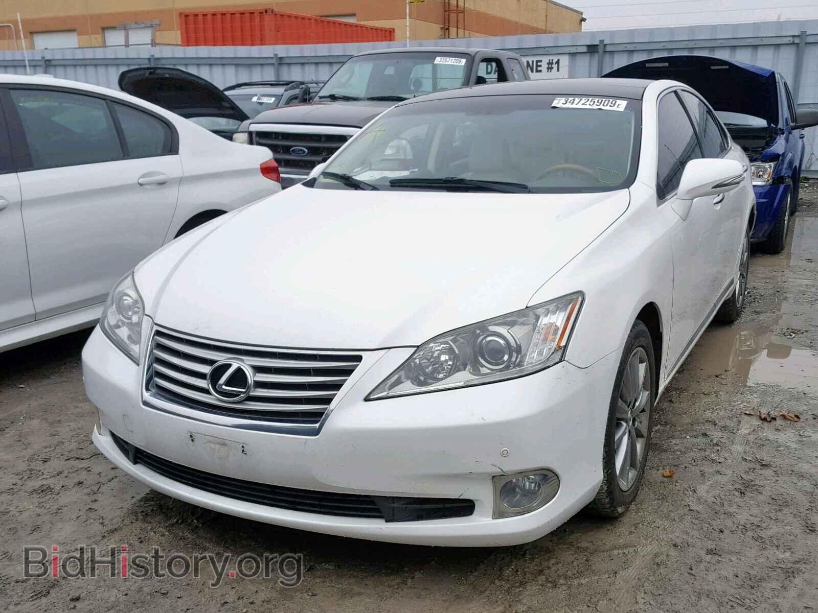 2010 LEXUS ES350 - VIN: JTHBK1EG2A2348501 - Фото 2
