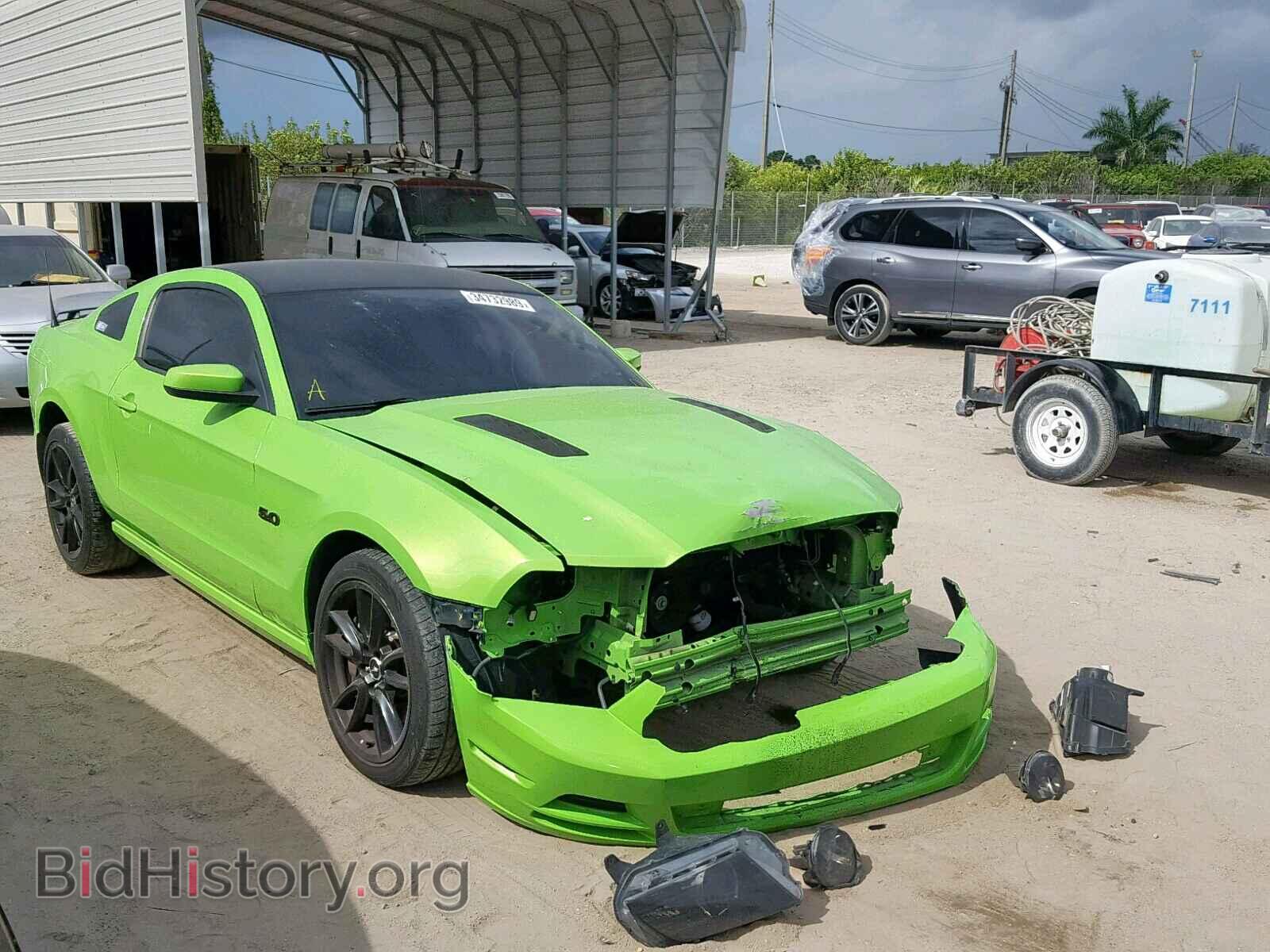 Photo 1ZVBP8CF1D5228405 - FORD MUSTANG GT 2013