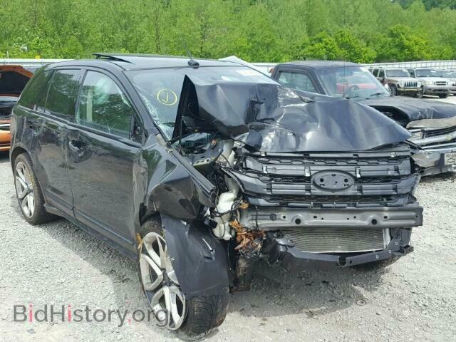 Фотография 2FMDK4AK0DBA63277 - FORD EDGE 2013