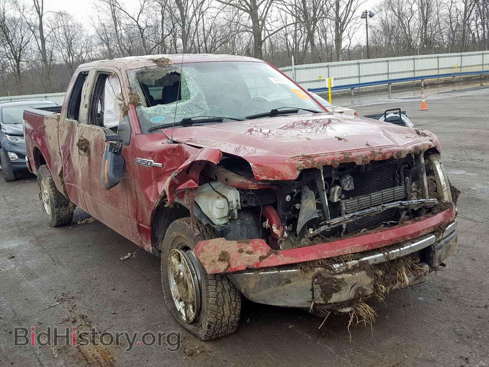 Фотография 1FTFX1EFXDFD50313 - FORD F150 2013