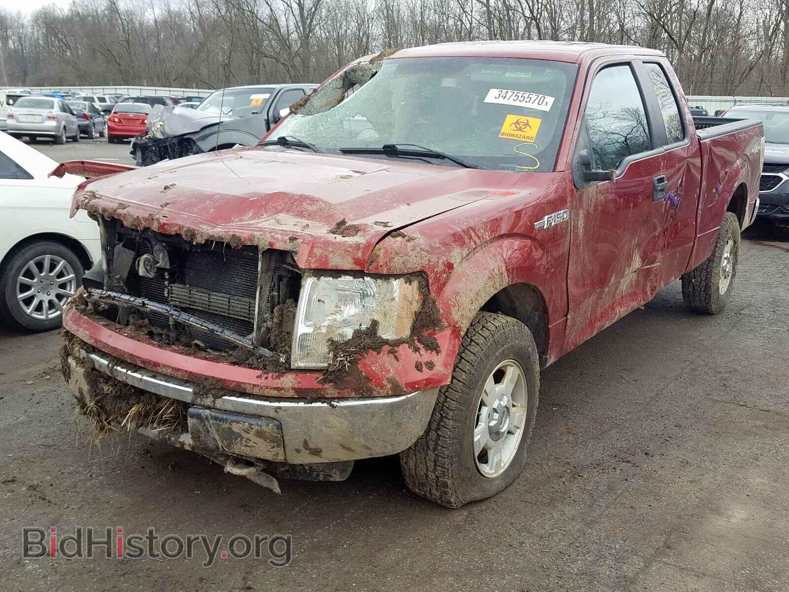 2013 FORD F150 - VIN: 1FTFX1EFXDFD50313 - Фото 2