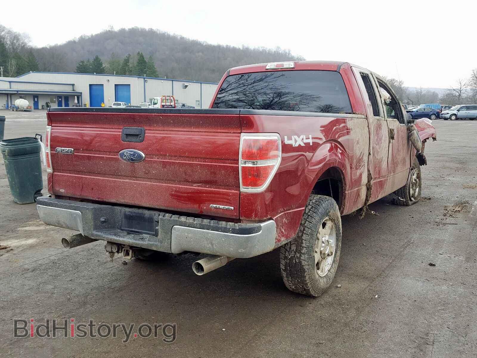 2013 FORD F150 - VIN: 1FTFX1EFXDFD50313 - Фото 4