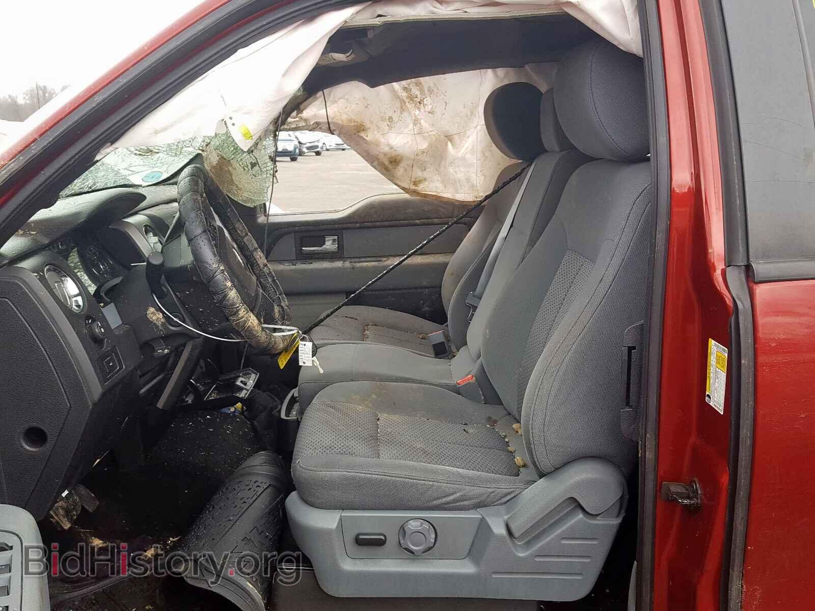 2013 FORD F150 - VIN: 1FTFX1EFXDFD50313 - Фото 5