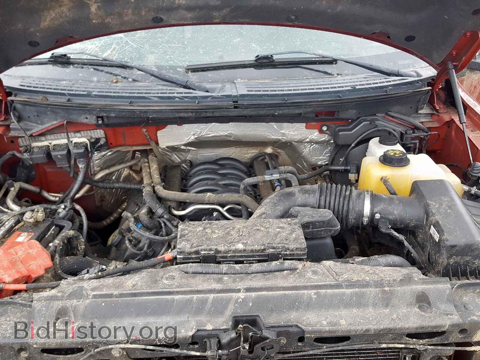 2013 FORD F150 - VIN: 1FTFX1EFXDFD50313 - Фото 7