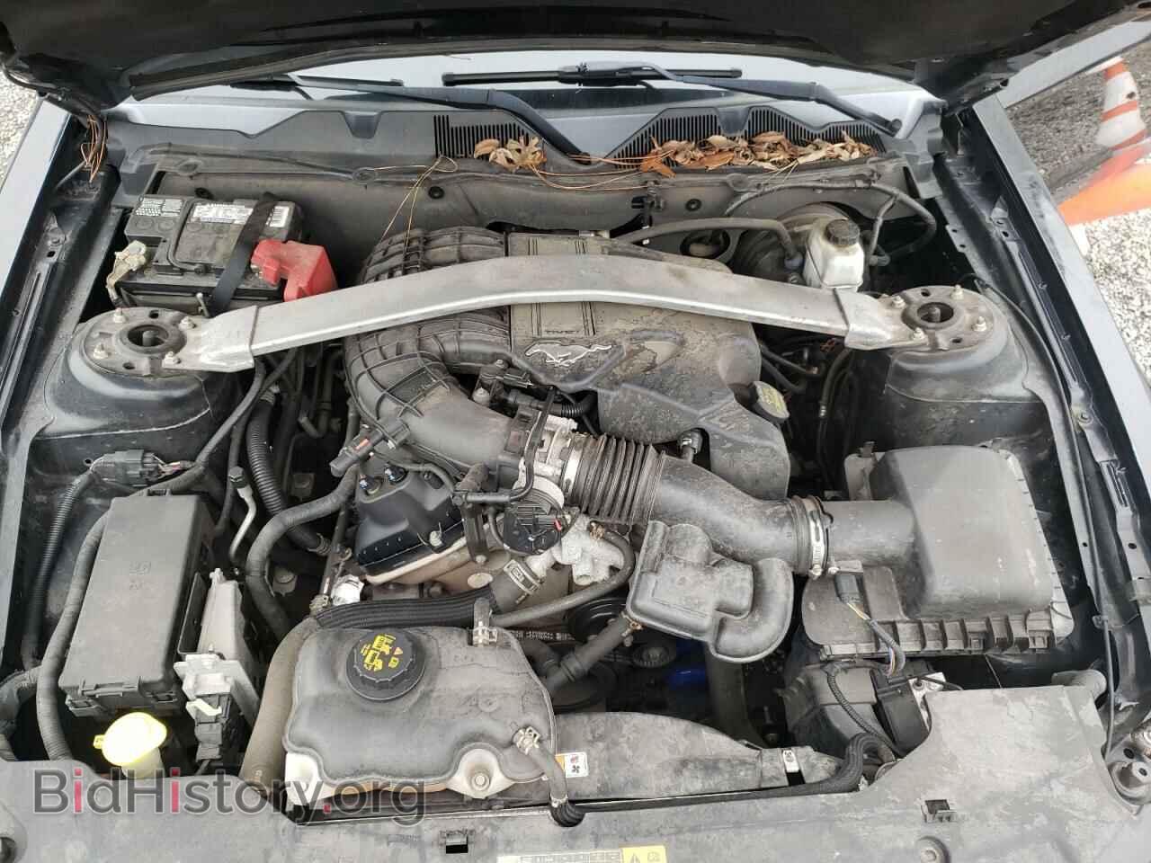 2012 FORD MUSTANG - VIN: 1ZVBP8AM8C5274717 - Фото 7