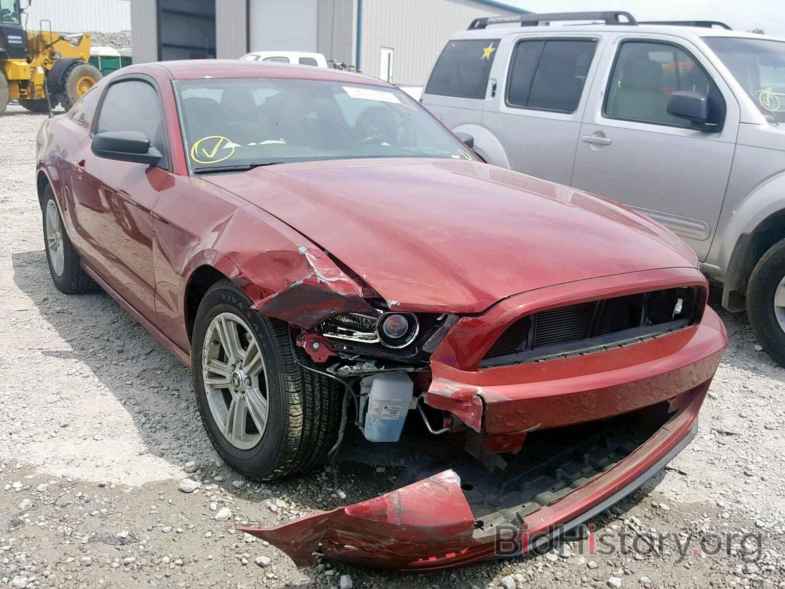 Photo 1ZVBP8AM1E5249287 - FORD MUSTANG 2014