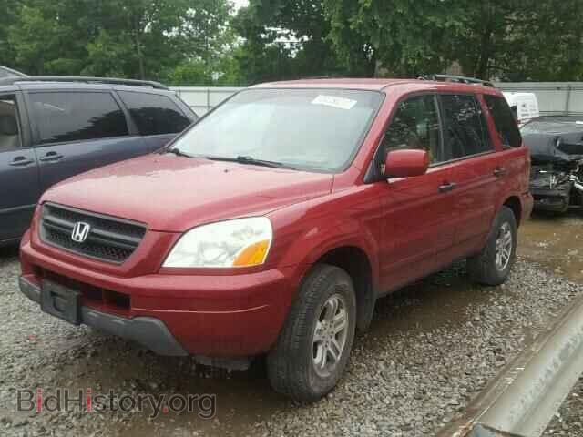 2005 HONDA PILOT - VIN: 2HKYF18455H570780 - Фото 2