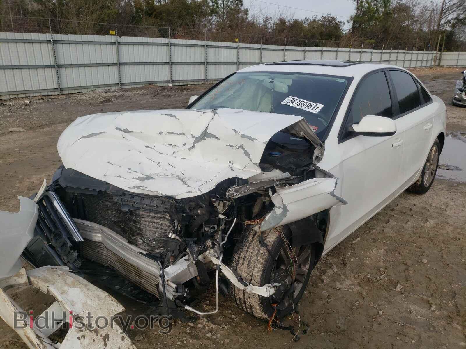 2010 AUDI A4 - VIN: WAUBFAFL1AN052785 - Фото 2