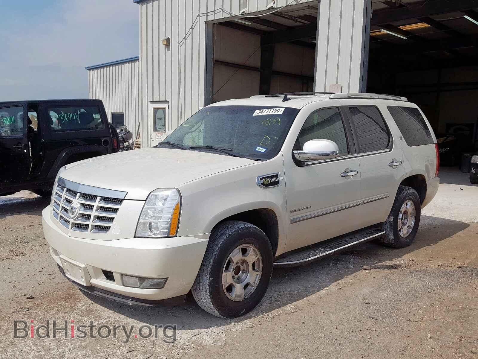 2010 CADILLAC ESCALADE - VIN: 1GYUCEEJ3AR210459 - Фото 2