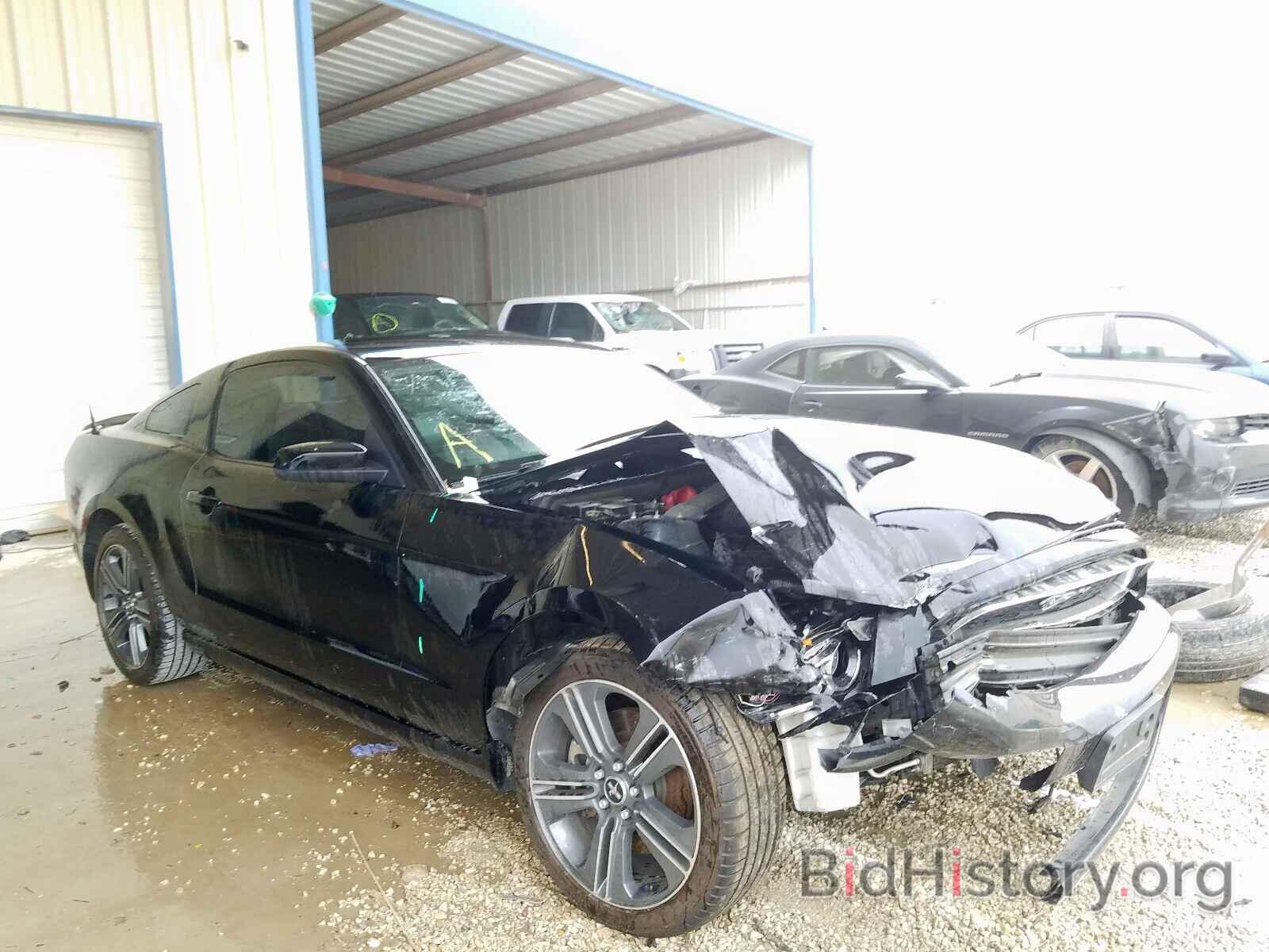Photo 1ZVBP8AM5E5226384 - FORD MUSTANG 2014