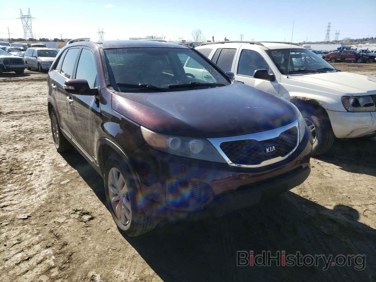 Photo 5XYKTDA22BG099912 - KIA SORENTO 2011