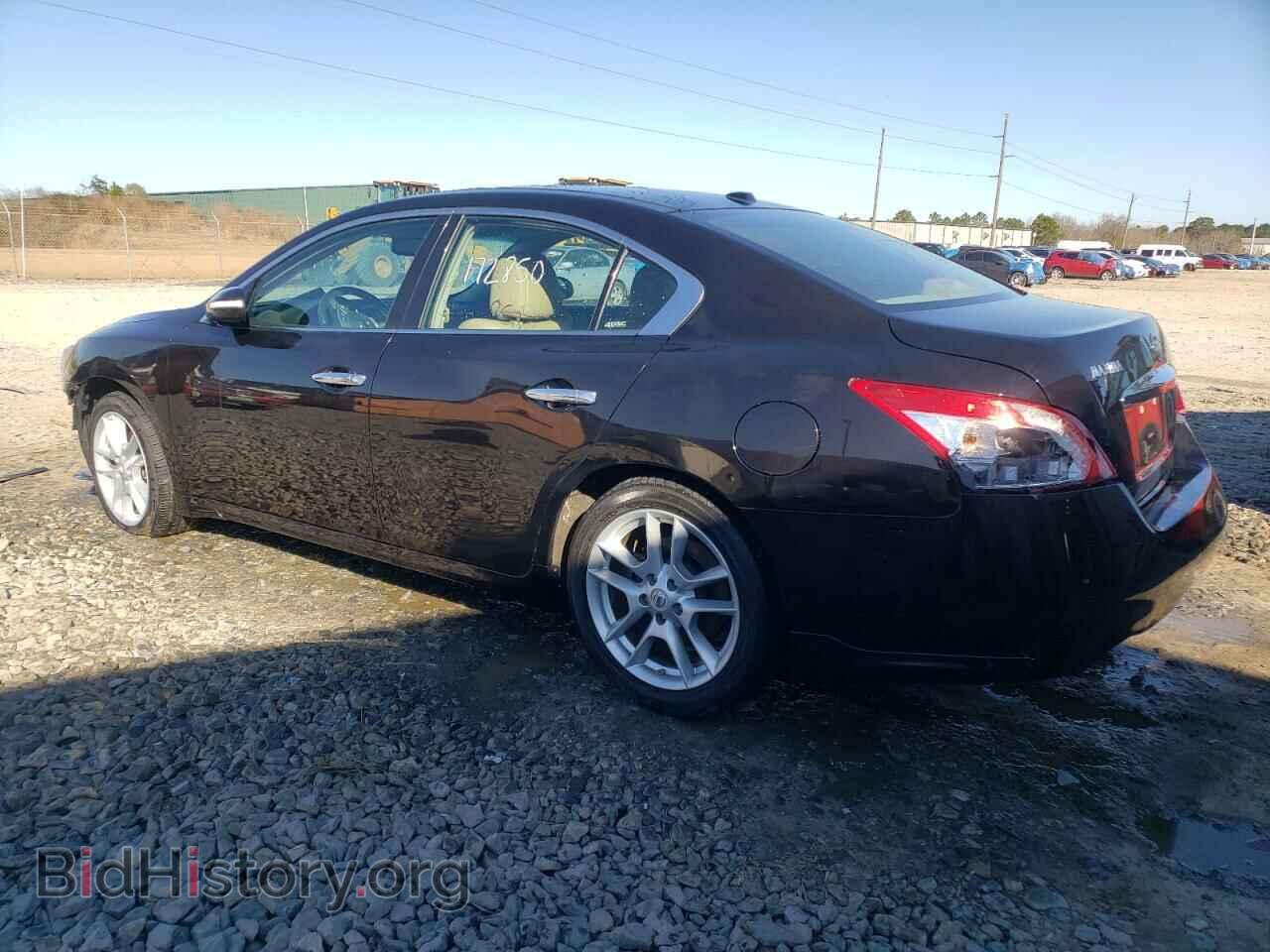 2010 NISSAN MAXIMA - VIN: 1N4AA5AP1AC835153 - Фото 3