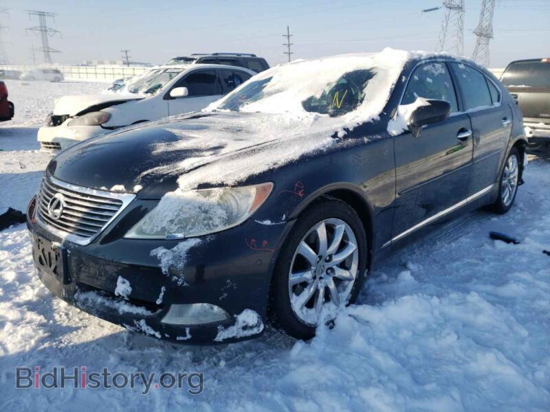 2008 Lexus LS460 (VIN JTHBL46F185056366) — фото 2 из 10