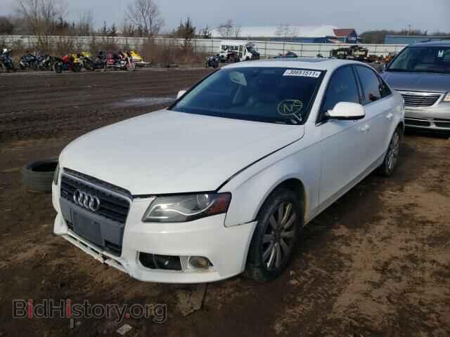 2010 AUDI A4 - VIN: WAUFFAFL9AN033144 - Фото 2