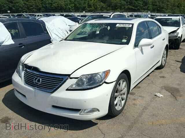 2007 LEXUS LS460 - VIN: JTHGL46F975017366 - Photo 2