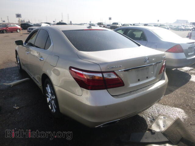 2010 LEXUS LS460 - VIN: JTHBL5EF5A5092445 - Фото 3
