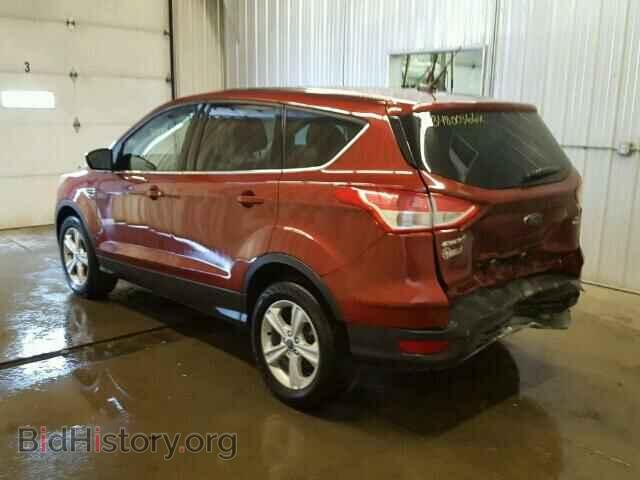 2014 FORD ESCAPE - VIN: 1FMCU9GX8EUB85984 - Фото 3