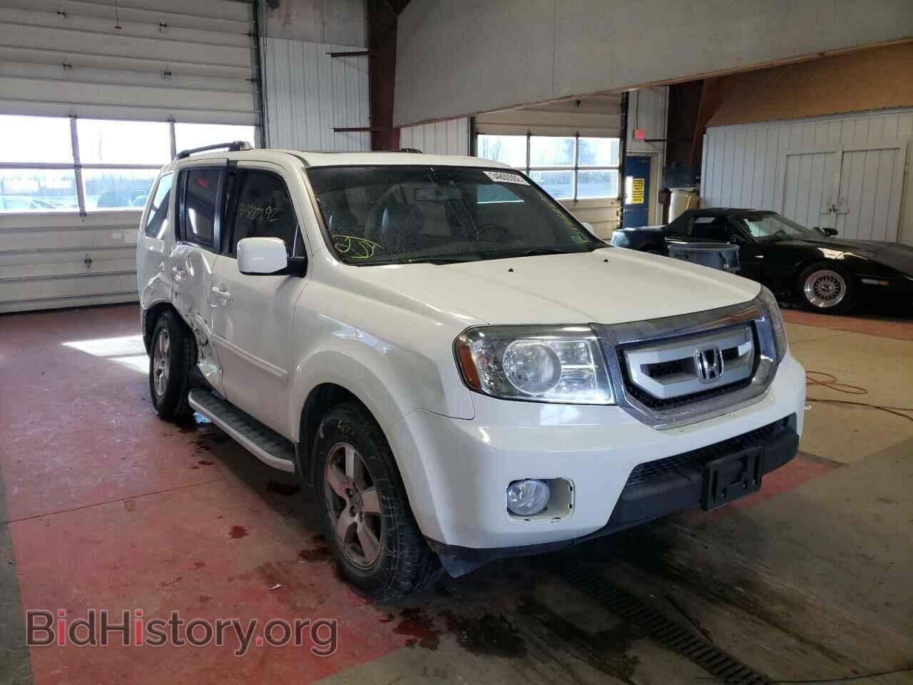 Фотография 5FNYF4H53BB041994 - HONDA PILOT 2011