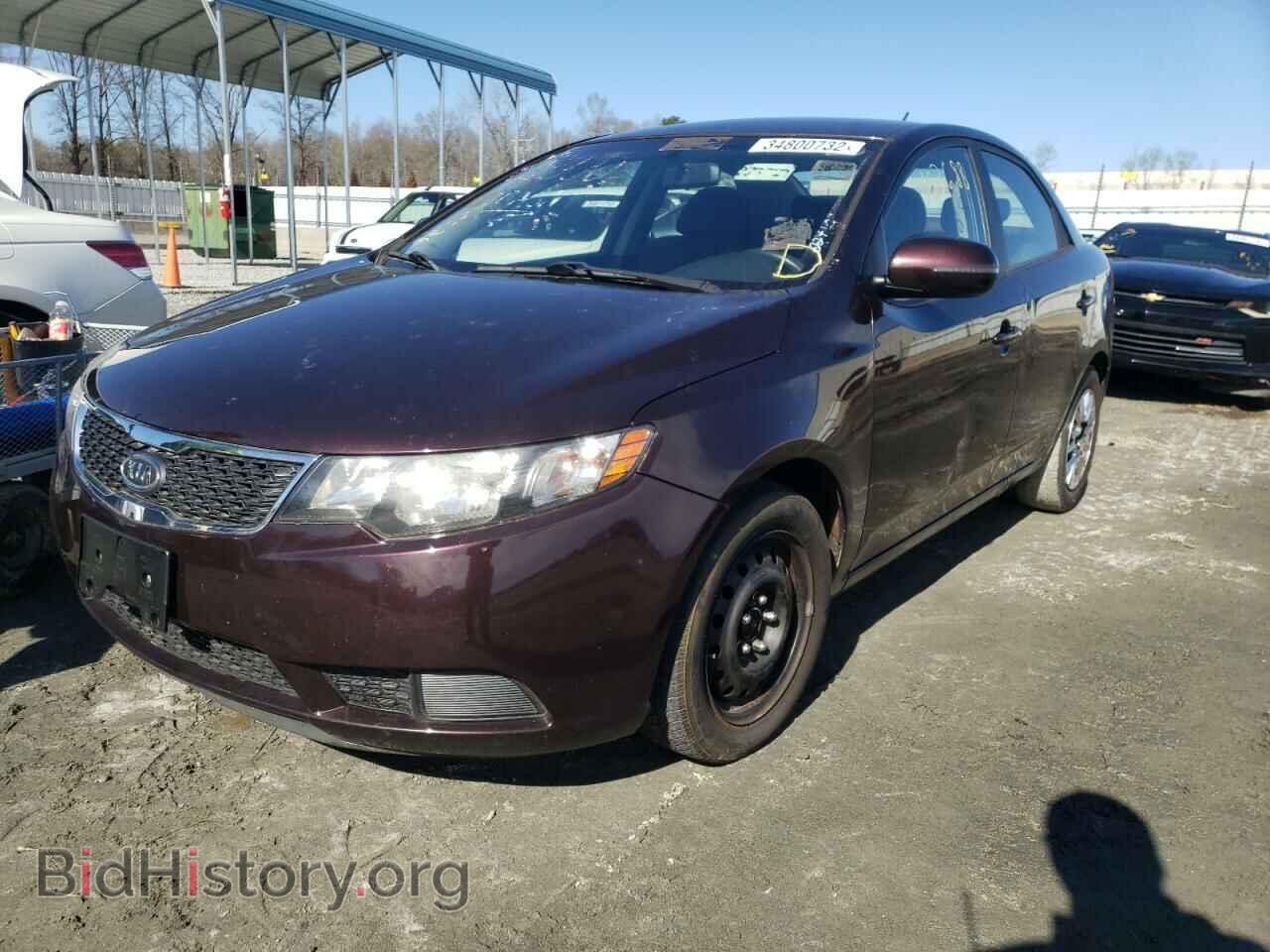 2011 KIA FORTE - VIN: KNAFU4A2XB5366511 - Фото 2