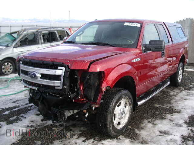 2013 FORD F150 - VIN: 1FTFX1EF3DFD18464 - Фото 2