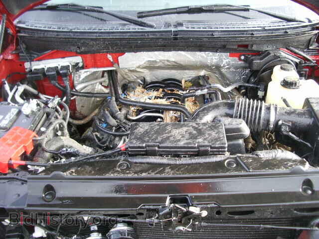 2013 FORD F150 - VIN: 1FTFX1EF3DFD18464 - Фото 7