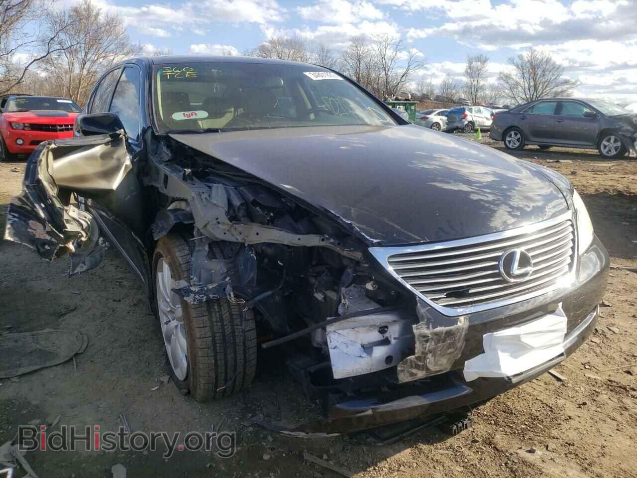 Фотография JTHGL46F475016013 - LEXUS LS460 2007
